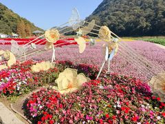 -广州市石门国家森林公园