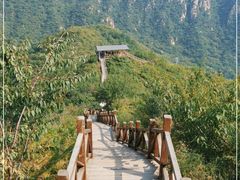 -大岭沟猕猴桃谷风景区