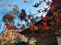 -三千院