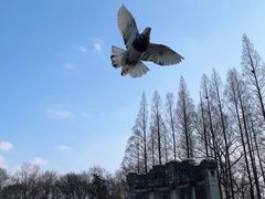 -音乐台