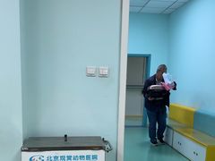 -北京观赏动物医院·24小时大型综合·猫专科·异宠专科