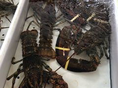 -斌记海鲜加工(十四涌店)