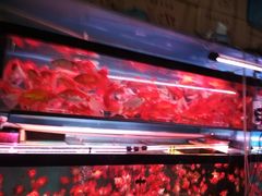 -桂林市花鸟市场