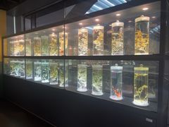 -广东中医药博物馆