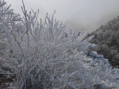 -华夏良子·足道SPA艾灸(龙潭路店)