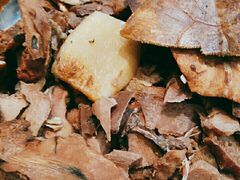 -农汤老店(顺联公园里店)