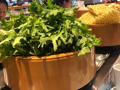 -龍歌自助小火锅(李沧顺和汇店)