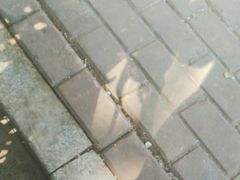 -大众海鲜(巨龙北路店)