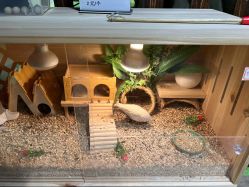 -酷嗒动物文化乐园(cutezoo西溪乐天城店)