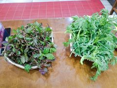 -岳记兴隆·青城腊排铜火锅(融创店)