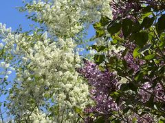 -长春公园(普阳街道)