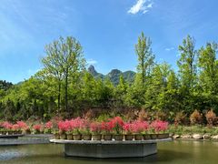 -西泰山风景区