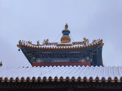 -雍和宫