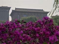 -文瀛公园