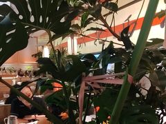 -桂满陇·蟹黄小笼汤包(中山公园店)