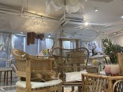 大堂-共舞时光猫咖·狗咖(新街口店)