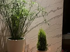 -iSpa(金水希尔顿店)