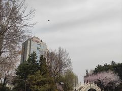 -团结湖公园