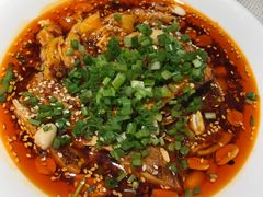 口水鸡-渝信川菜(华盛店)