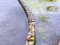 -苏州河梦清园环保主题公园