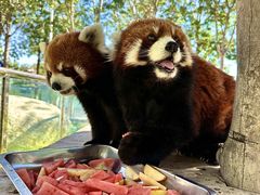 -水上乐园·欢乐世界