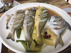 -杨记海鲜楼(三门黑金冠店)