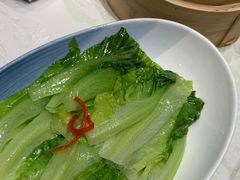 -点都德·毕德寮