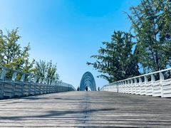 -大兴滨河森林公园