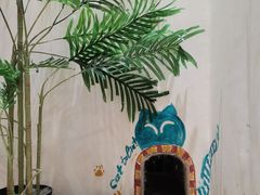 -藏猫猫咖啡主题馆(中央大道店)