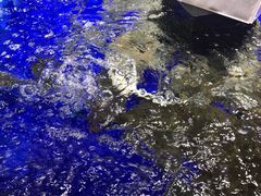 -盒马鲜生(新都心店)