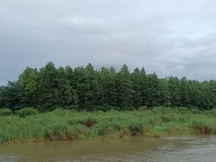 -洪湖生态旅游区