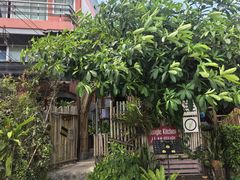 -Jungle Kitchen