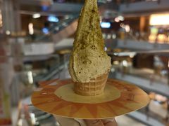 -野人先生现做冰淇淋(北京环宇荟店)
