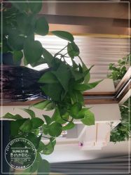 -尚艺造型.剪烫染.接发