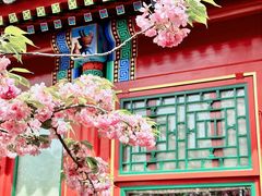 -北京颐和宾馆