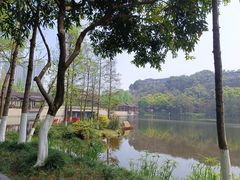 -重庆彩云湖湿地公园