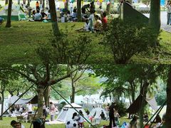 -火炉山森林公园