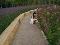 -长春公园(普阳街道)