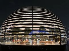 -新加坡丽思卡尔顿美年酒店