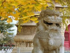 -北京石刻艺术博物馆(五塔寺)