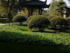 -堤角公园