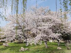 -堤角公园