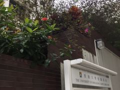 -香港大学