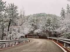 -四明山国家森林公园