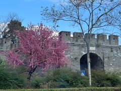 -蓝壁虎咖啡酒馆