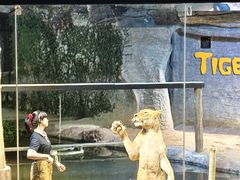 -清迈夜间动物园