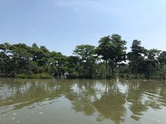 -东寨港红树林旅游区