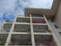 -三亚亚龙湾金棕榈度假酒店