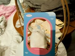 -EYEcare眼镜店(南京东路店)