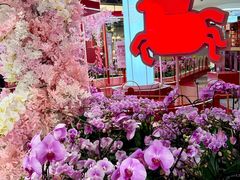 -武汉荟聚